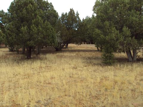 2748 Kittyhawk, Overgaard, AZ 85933 photo 2