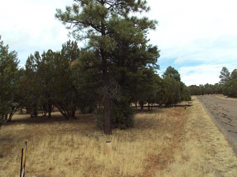 2748 Kittyhawk, Overgaard, AZ 85933 photo 3