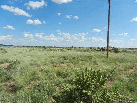 8723 E Concho Hwy, Snowflake, AZ 85937 photo 13