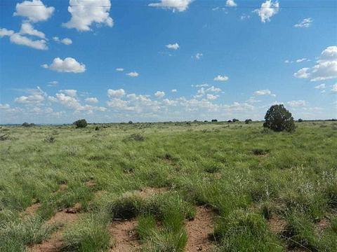 8723 E Concho Hwy, Snowflake, AZ 85937 photo 12