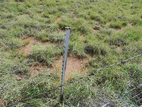 8723 E Concho Hwy, Snowflake, AZ 85937 photo 7