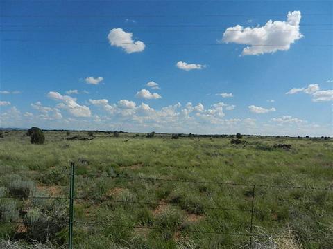 8723 E Concho Hwy, Snowflake, AZ 85937 photo 5