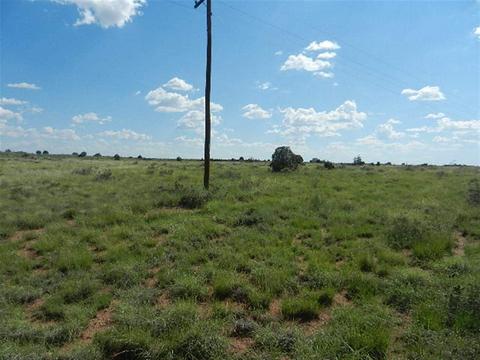 8723 E Concho Hwy, Snowflake, AZ 85937 photo 9
