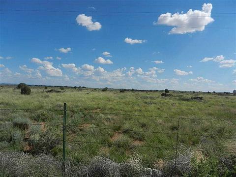 8723 E Concho Hwy, Snowflake, AZ 85937 photo 3