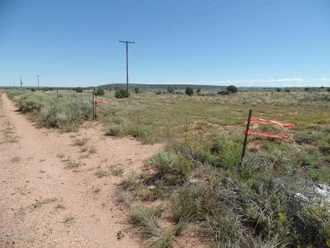 8723 E Concho Hwy, Snowflake, AZ 85937 photo 16