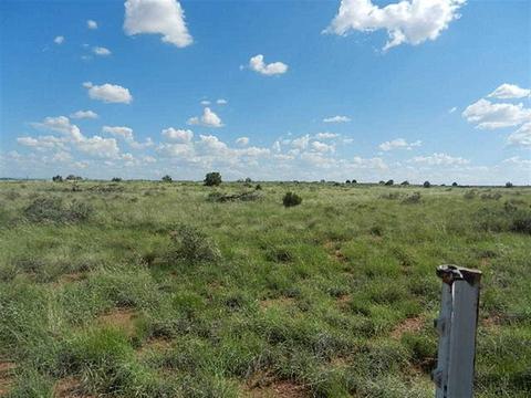 8723 E Concho Hwy, Snowflake, AZ 85937 photo 8