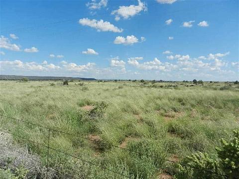 8723 E Concho Hwy, Snowflake, AZ 85937 photo 14