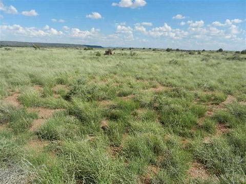 8723 E Concho Hwy, Snowflake, AZ 85937 photo 2