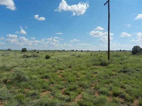 8723 E Concho Hwy, Snowflake, AZ 85937 photo 11