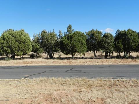 2356 Tomcat Cir, Overgaard, AZ 85933 photo 9
