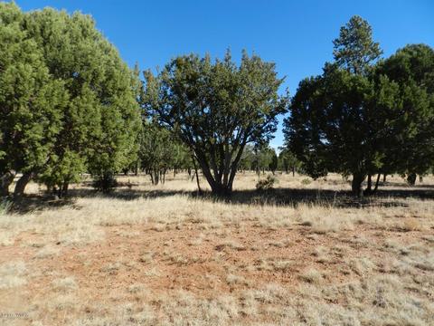 2356 Tomcat Cir, Overgaard, AZ 85933 photo 4