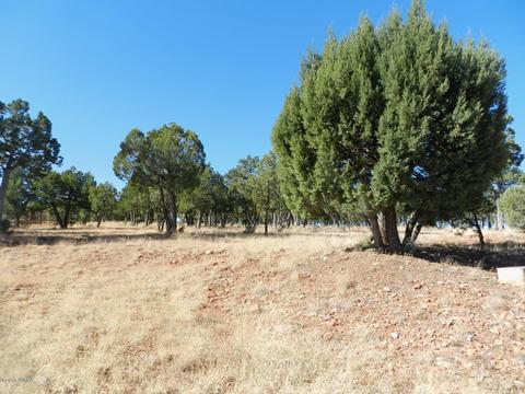 2356 Tomcat Cir, Overgaard, AZ 85933 photo 6