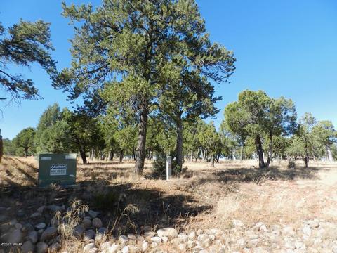 2356 Tomcat Cir, Overgaard, AZ 85933 photo 2