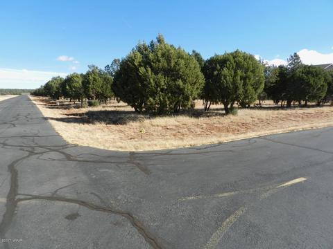 2356 Tomcat Cir, Overgaard, AZ 85933 photo 8