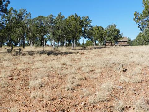 2356 Tomcat Cir, Overgaard, AZ 85933 photo 3