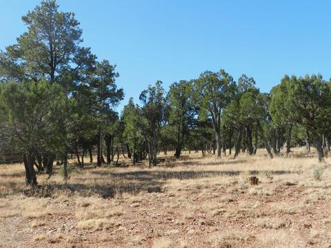 2356 Tomcat Cir, Overgaard, AZ 85933 photo 5