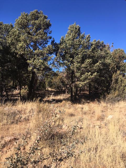 3330 Apache Dr, Overgaard, AZ 85933 photo 1