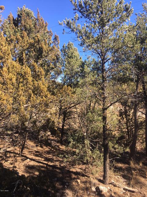 3330 Apache Dr, Overgaard, AZ 85933 photo 4