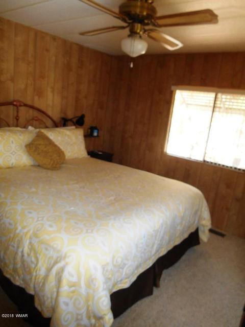 2185 Hashknife Dr, Overgaard, AZ 85933 photo 14