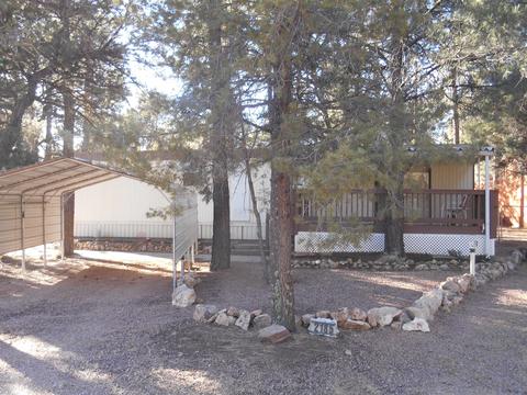 2185 Hashknife Dr, Overgaard, AZ 85933 photo 1