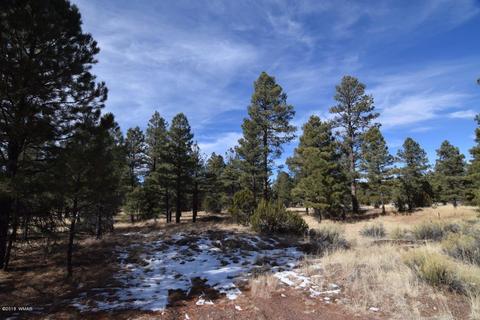 2896 Mud Creek Rd, Overgaard, AZ 85933 photo 11