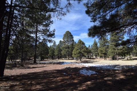 2896 Mud Creek Rd, Overgaard, AZ 85933 photo 3