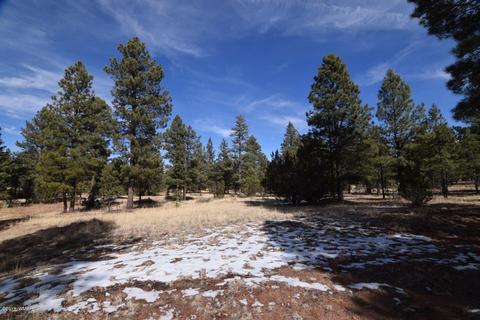 2896 Mud Creek Rd, Overgaard, AZ 85933 photo 4