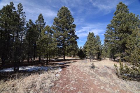 2896 Mud Creek Rd, Overgaard, AZ 85933 photo 2
