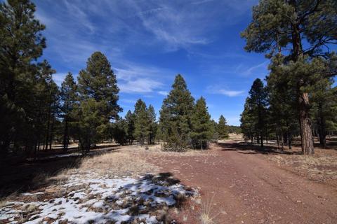 2896 Mud Creek Rd, Overgaard, AZ 85933 photo 1