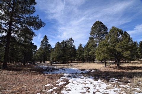 2896 Mud Creek Rd, Overgaard, AZ 85933 photo 6