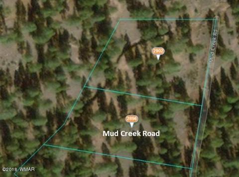 2896 Mud Creek Rd, Overgaard, AZ 85933 photo 5