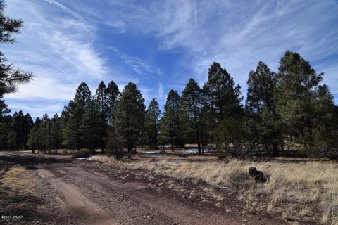 2902 Mud Creek Rd, Overgaard, AZ 85933 photo 7