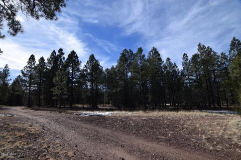 2902 Mud Creek Rd, Overgaard, AZ 85933 photo 9