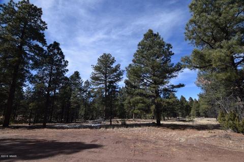 2902 Mud Creek Rd, Overgaard, AZ 85933 photo 11