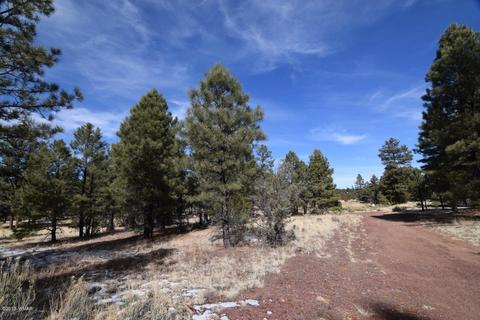 2902 Mud Creek Rd, Overgaard, AZ 85933 photo 8