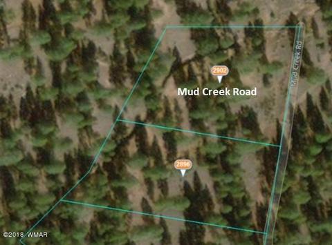 2902 Mud Creek Rd, Overgaard, AZ 85933 photo 5