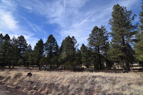 2902 Mud Creek Rd, Overgaard, AZ 85933 photo 4