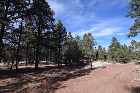 2902 Mud Creek Rd, Overgaard, AZ 85933 photo 10