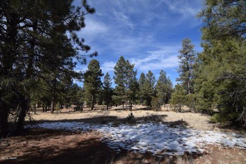2902 Mud Creek Rd, Overgaard, AZ 85933 photo 2