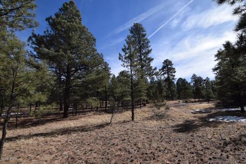 2902 Mud Creek Rd, Overgaard, AZ 85933 photo 1
