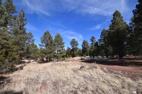2902 Mud Creek Rd, Overgaard, AZ 85933 photo 3