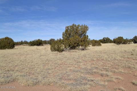 3829 Petersen Rd, Snowflake, AZ 85937 photo 7