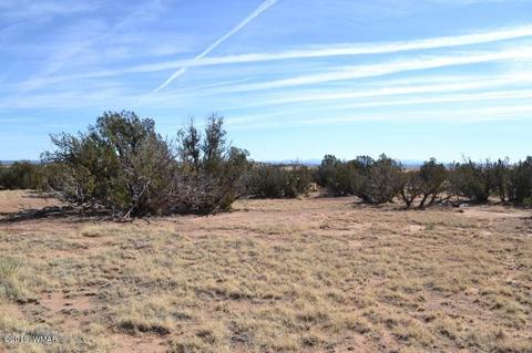 3829 Petersen Rd, Snowflake, AZ 85937 photo 9