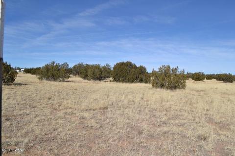 3829 Petersen Rd, Snowflake, AZ 85937 photo 1