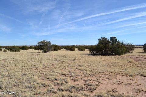 3829 Petersen Rd, Snowflake, AZ 85937 photo 5