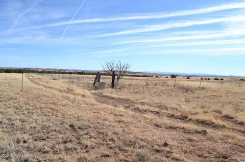 3829 Petersen Rd, Snowflake, AZ 85937 photo 8