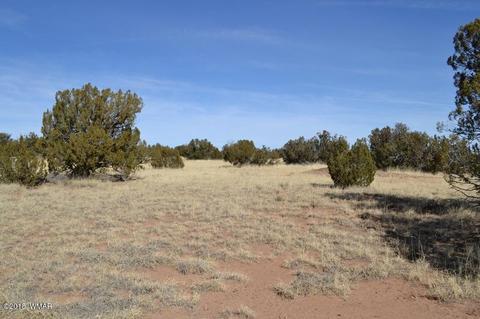 3829 Petersen Rd, Snowflake, AZ 85937 photo 6
