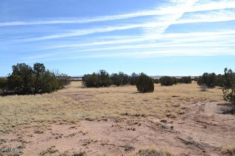 3829 Petersen Rd, Snowflake, AZ 85937 photo 2