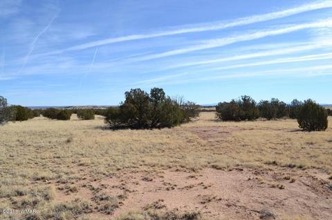 3829 Petersen Rd, Snowflake, AZ 85937 photo 4