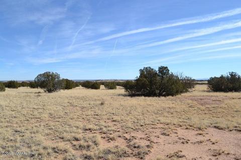 3829 Petersen Rd, Snowflake, AZ 85937 photo 3